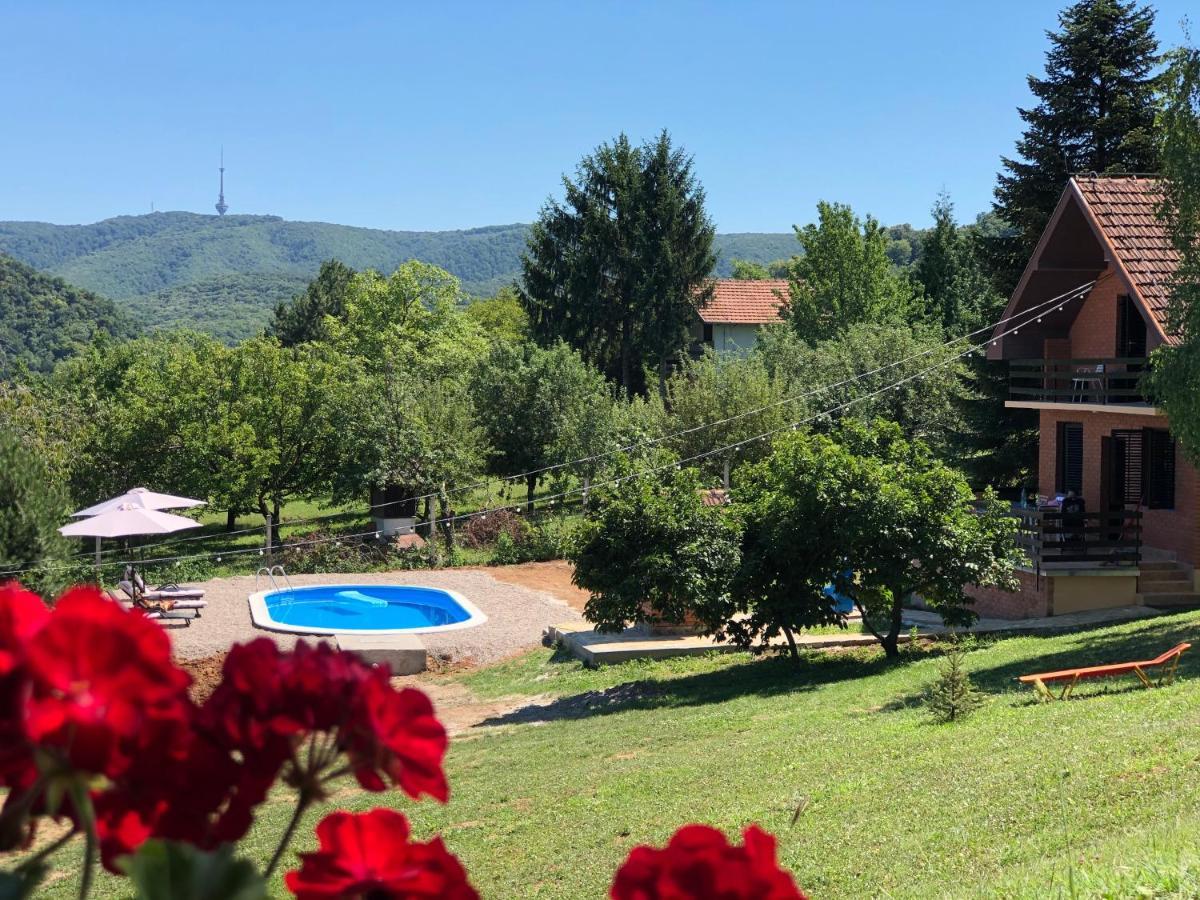 Fruska Pool House Villa Sremska Kamenica Exteriör bild
