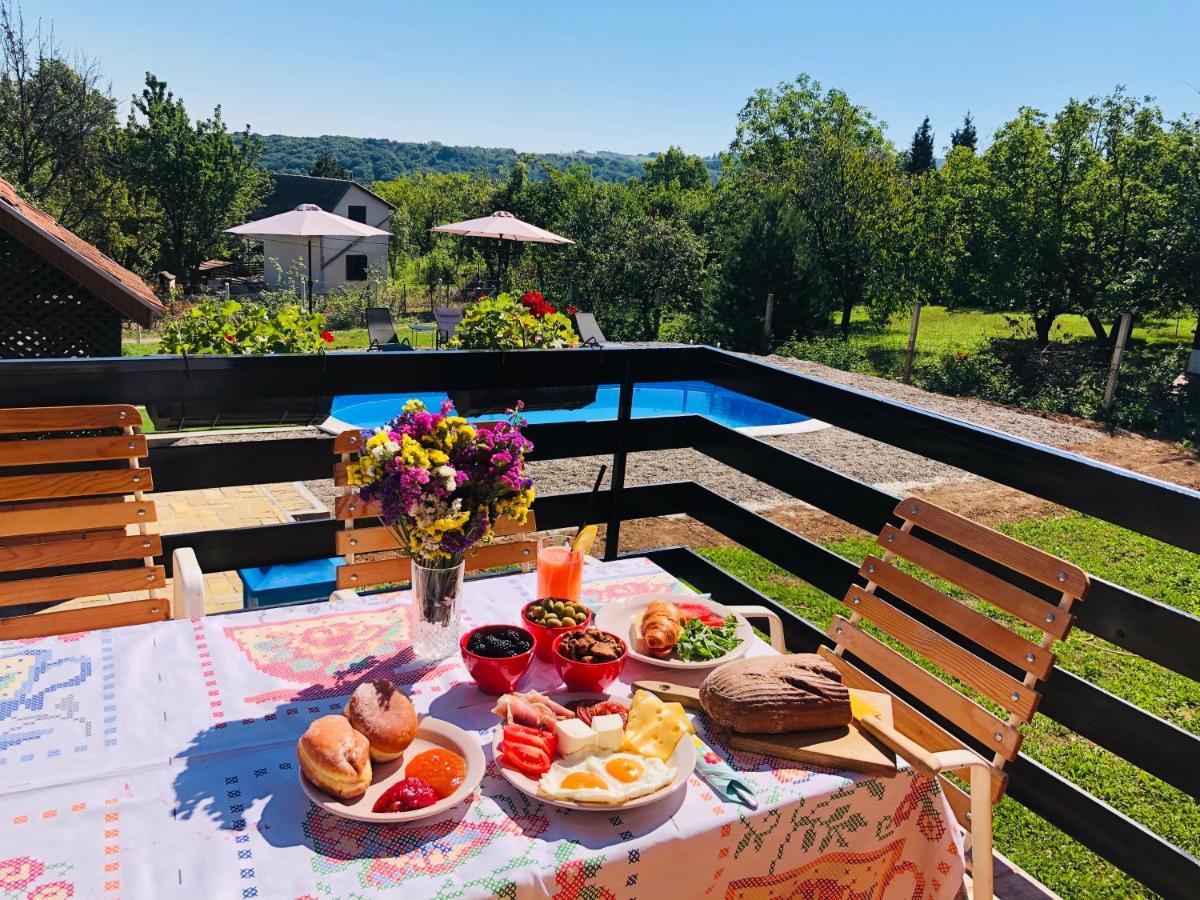 Fruska Pool House Villa Sremska Kamenica Exteriör bild