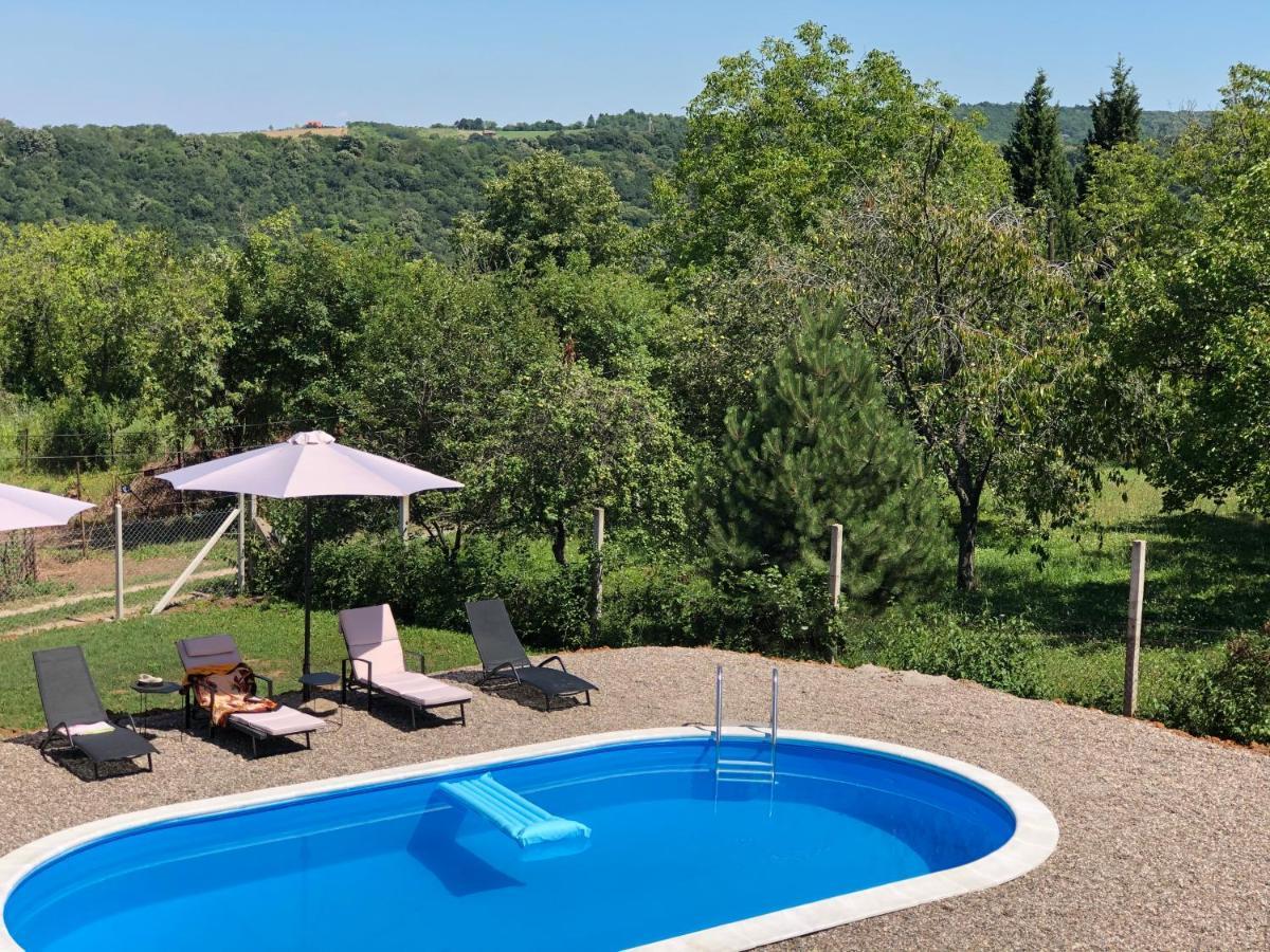 Fruska Pool House Villa Sremska Kamenica Exteriör bild