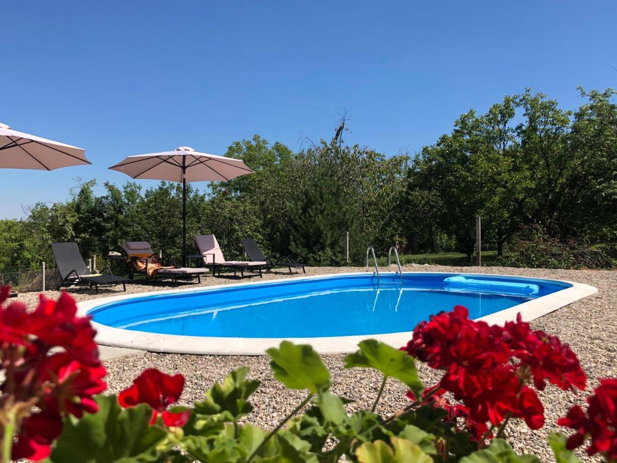 Fruska Pool House Villa Sremska Kamenica Exteriör bild