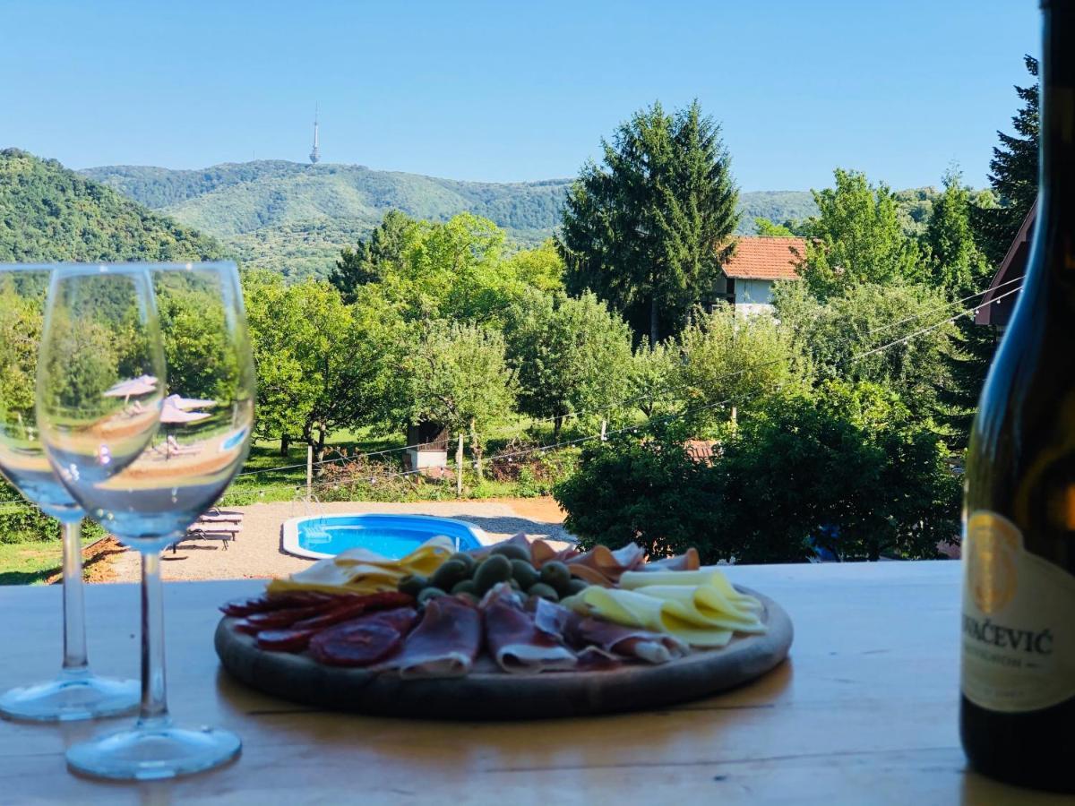 Fruska Pool House Villa Sremska Kamenica Exteriör bild