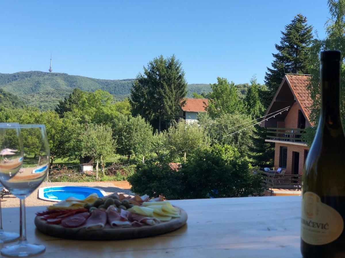 Fruska Pool House Villa Sremska Kamenica Exteriör bild