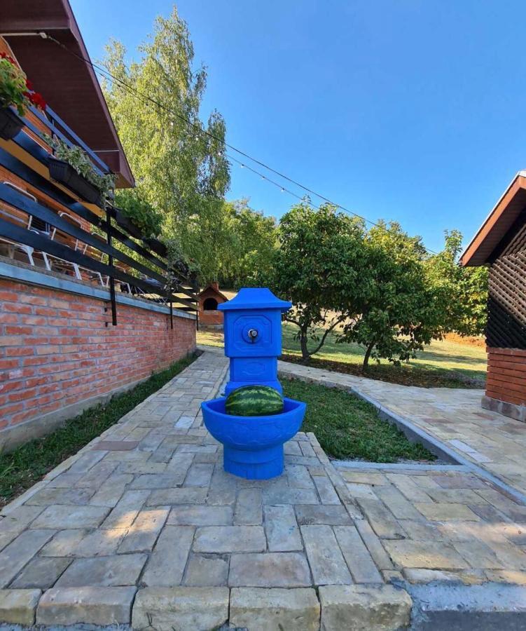 Fruska Pool House Villa Sremska Kamenica Exteriör bild