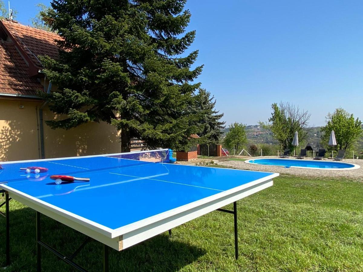 Fruska Pool House Villa Sremska Kamenica Exteriör bild