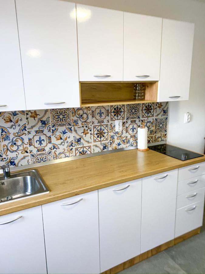 Fruska Pool House Villa Sremska Kamenica Exteriör bild