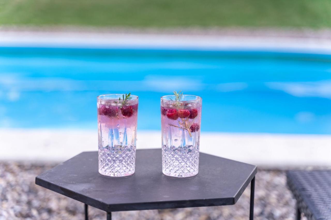 Fruska Pool House Villa Sremska Kamenica Exteriör bild