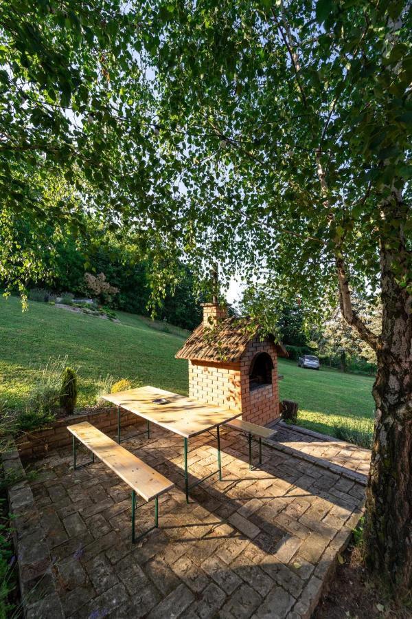 Fruska Pool House Villa Sremska Kamenica Exteriör bild