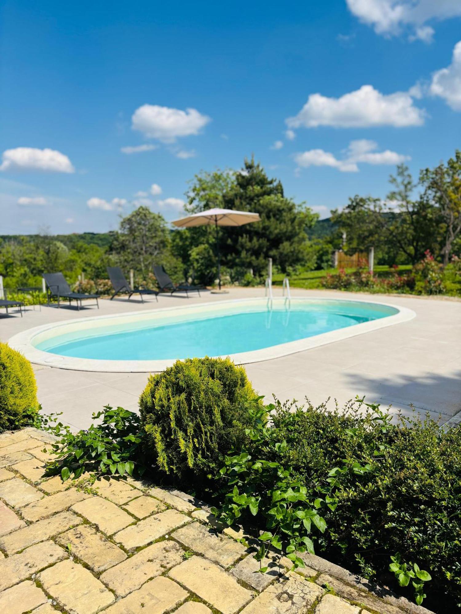Fruska Pool House Villa Sremska Kamenica Exteriör bild