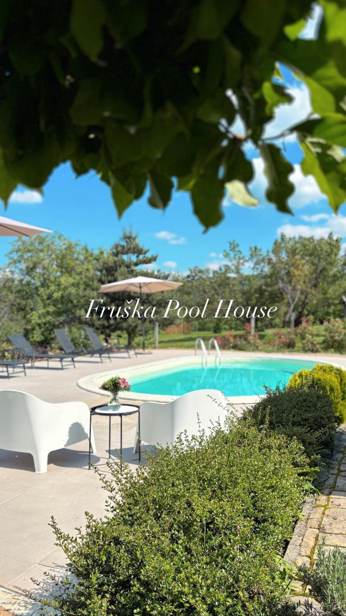 Fruska Pool House Villa Sremska Kamenica Exteriör bild