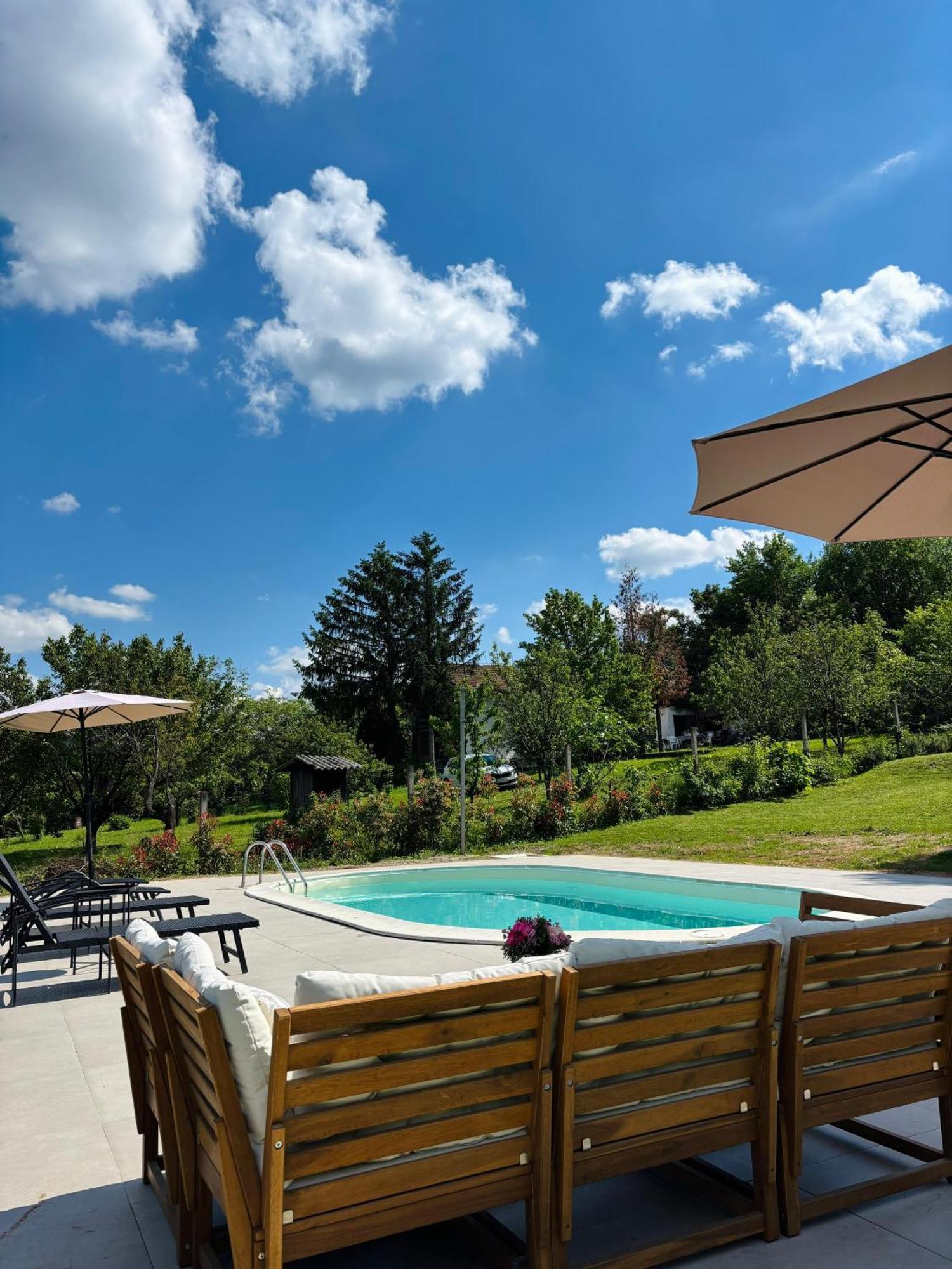 Fruska Pool House Villa Sremska Kamenica Exteriör bild
