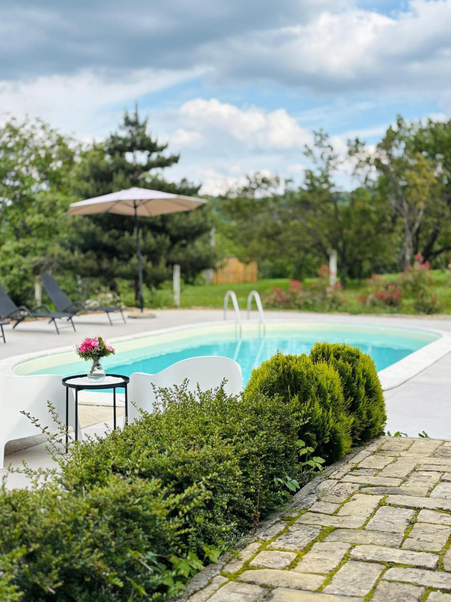 Fruska Pool House Villa Sremska Kamenica Exteriör bild