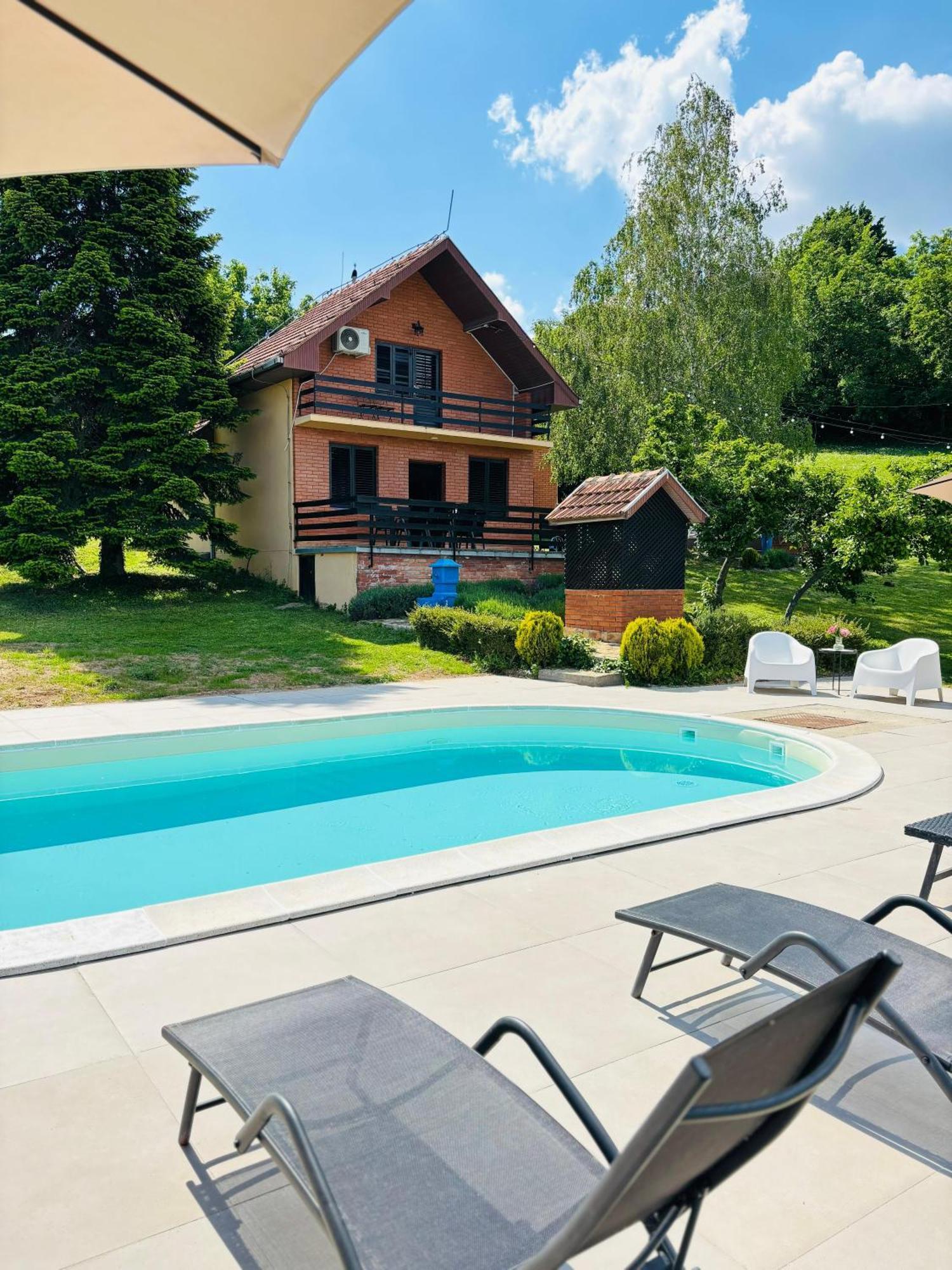Fruska Pool House Villa Sremska Kamenica Exteriör bild